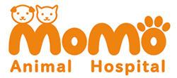 MOMO Animal Hospital