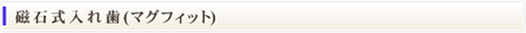 磁石式入れ歯(マグフィット)