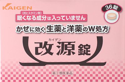 改源錠　３６錠
